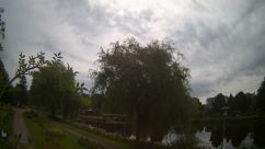 Rosarium Webcam