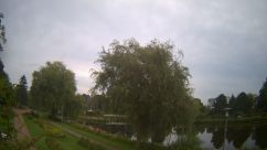 Rosarium Webcam