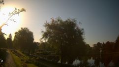 Rosarium Webcam