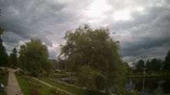 Rosarium Webcam