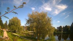 Rosarium Webcam