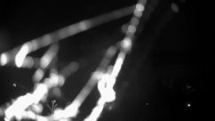 Rosarium Webcam