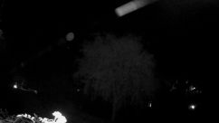 Rosarium Webcam