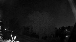Rosarium Webcam