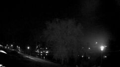 Rosarium Webcam