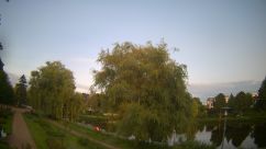 Rosarium Webcam