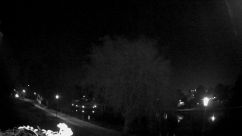 Rosarium Webcam