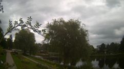 Rosarium Webcam