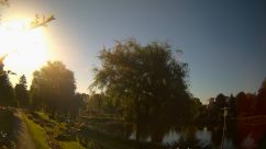 Rosarium Webcam