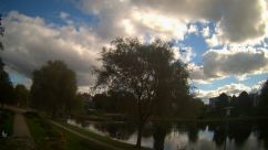 Rosarium Webcam