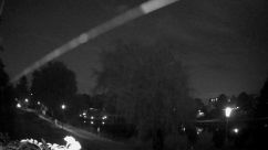 Rosarium Webcam