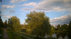 Rosarium Webcam
