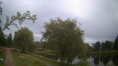 Rosarium Webcam