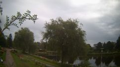 Rosarium Webcam