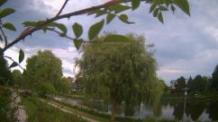 Rosarium Webcam