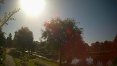 Rosarium Webcam