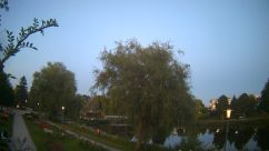 Rosarium Webcam
