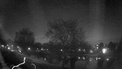 Rosarium Webcam