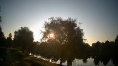 Rosarium Webcam
