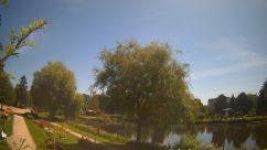 Rosarium Webcam