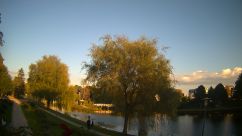 Rosarium Webcam