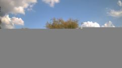 Rosarium Webcam