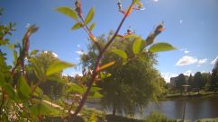 Rosarium Webcam
