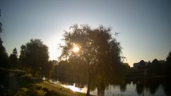 Rosarium Webcam