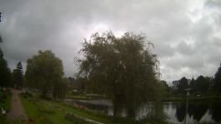 Rosarium Webcam