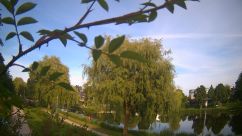 Rosarium Webcam