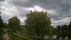 Rosarium Webcam