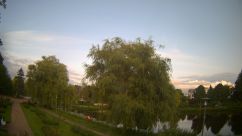 Rosarium Webcam