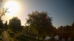 Rosarium Webcam