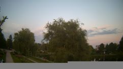 Rosarium Webcam