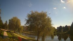 Rosarium Webcam