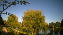 Rosarium Webcam