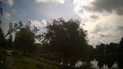 Rosarium Webcam