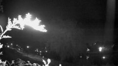 Rosarium Webcam