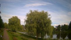 Rosarium Webcam