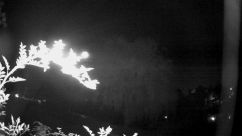 Rosarium Webcam