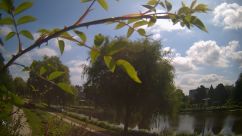 Rosarium Webcam