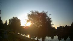 Rosarium Webcam
