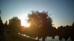 Rosarium Webcam