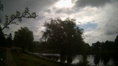 Rosarium Webcam