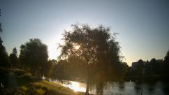 Rosarium Webcam