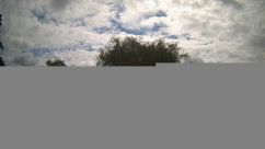 Rosarium Webcam