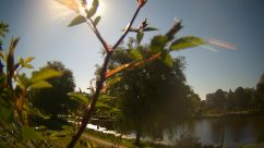Rosarium Webcam