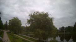 Rosarium Webcam