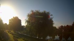 Rosarium Webcam
