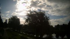 Rosarium Webcam